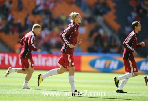 67517ba1d5077d8e6797ca0b2342357f-getty-fbl-wc2010-match09-ned-den.jpg