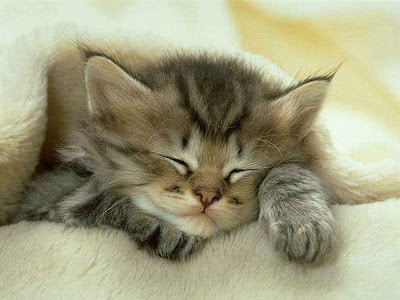 dormire