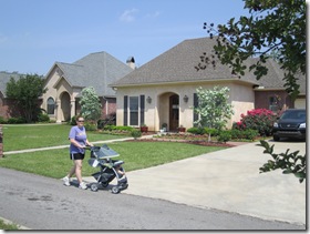 IMG_0246 IMG_0246