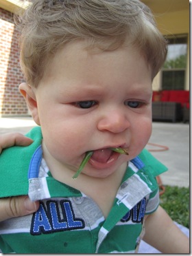 IMG_0255 IMG_0255