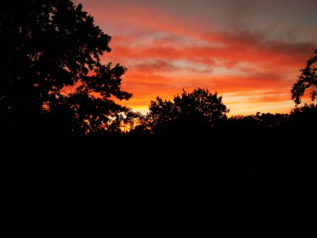 [2007_0628_191131AA[5].jpg]
