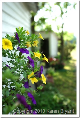 flowerbarn2_sm