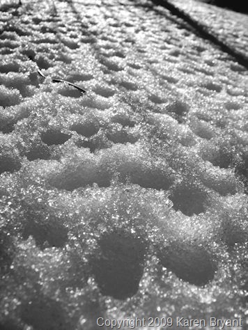 [snowcloseup_sm[6].jpg]