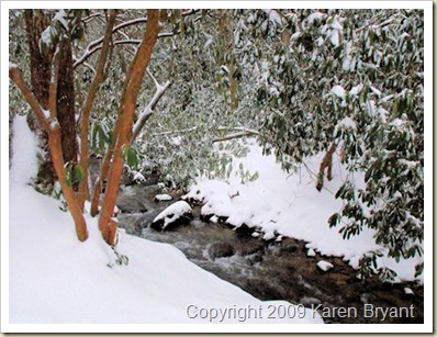 snowycreek_sm