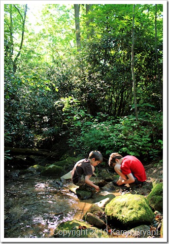 boyscreek1_sm
