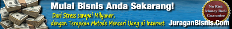 Bangun Bisnis Internet dari NOL