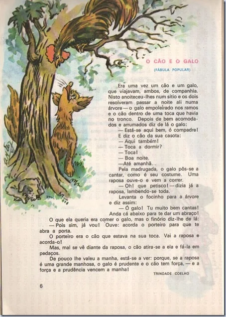 livro escolar vidas me flor sn p6