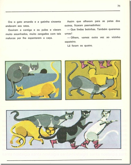 gatos janotas sn3