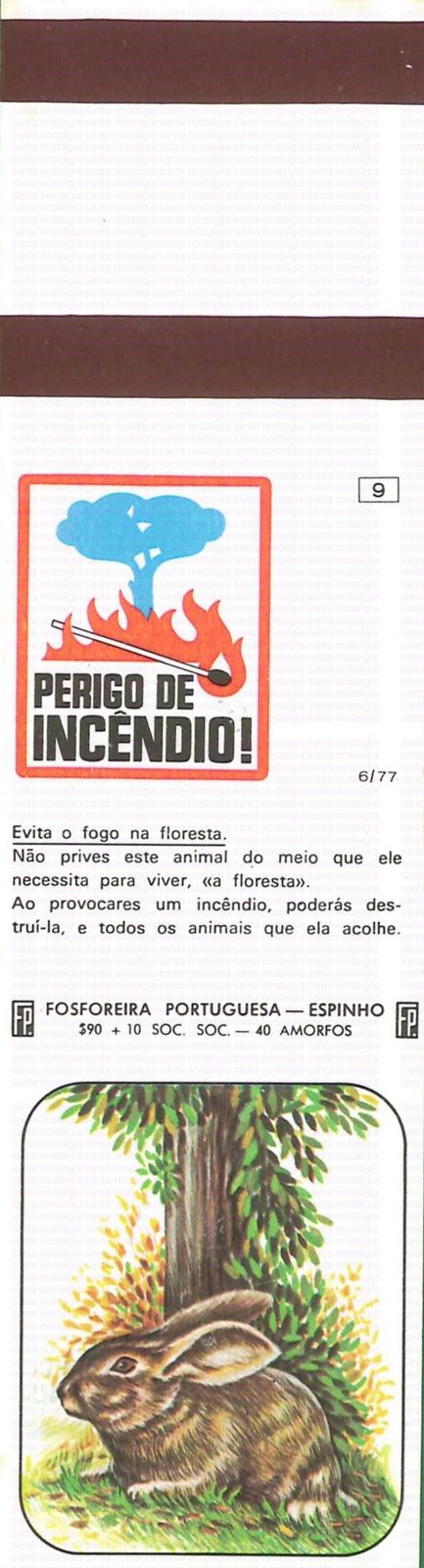 [filuminismo perigo incendio santa nostalgia 9[5].jpg]