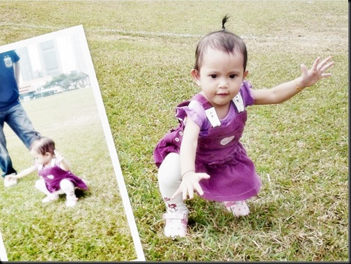 Qis Qis