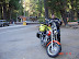 Yosemite National Park MSS