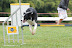 Laika na III Copa CBA - 1&Acirc;&ordf; e 2&Acirc;&ordf; etapas - It&Atilde;&ordm;/SP 02 e 03/08/2008