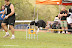A dupla Bruno e Laika fez sua estr&Atilde;&copy;ia nas pistas j&Atilde;&iexcl; ganhando medalha! Parab&Atilde;&copy;ns! III Copa CBA - 1&Acirc;&ordf; e 2&Acirc;&ordf; etapas - It&Atilde;&ordm;/SP 02 e 03/08/2008