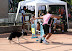 1&Acirc;&ordf; Etapa - Bruno e Laika - competindo no Rio pela primeira vez