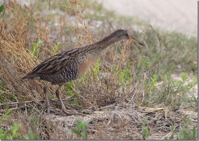 clapper_rail3