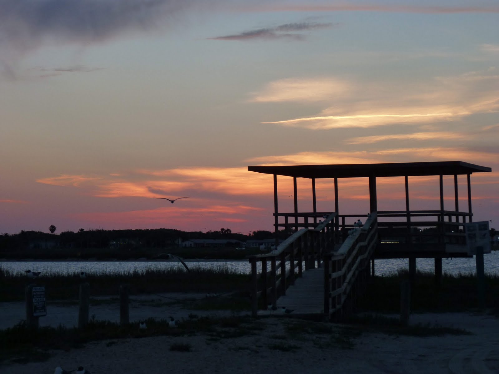 [P1020873_small[10].jpg]