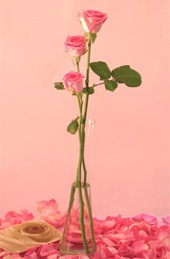 [Pastel-Flowers-Philippines[3].jpg]