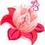 lotusgif