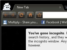 [incognito[3].jpg]