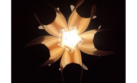327884-LOTO_lamp2