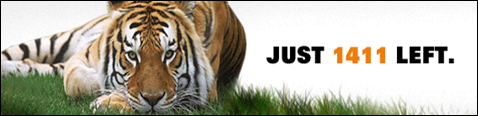 save our tigers - cher cabula