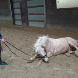 DSC02254.JPG