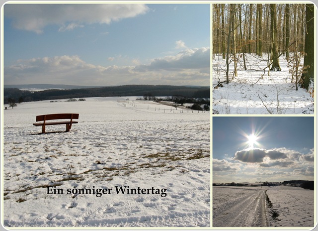 [Collage - Ein sonniger Wintertag[5].jpg]