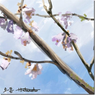 hatunotu