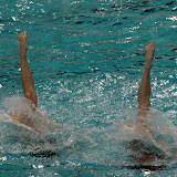 2008 - Campionato Europeo Assoluto - Allenamenti