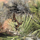IMG_2493.JPG