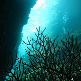 Underwater Scenery