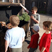 P6041854.JPG