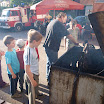 P6041857.JPG
