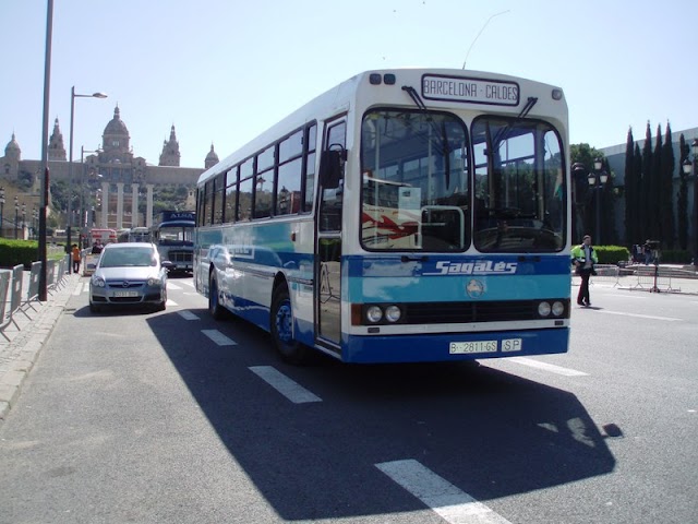 sagalesbus.jpg
