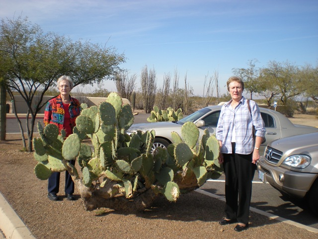 [Arizona and Texas 010[2].jpg]