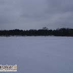 DSC03950.JPG