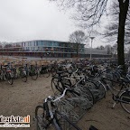 DSC06441.JPG