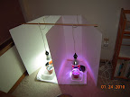 Carmen pepper / jet star tomato enclosure. 