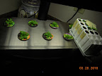 1 week bibb lettuce garden. The block is starting the peppers/eggplant/tomatoes, plus misc greens.