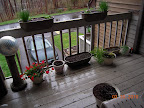 Impatiens and snapdragon/coleus pot moved outdoors at end of a drenching nor'easter.