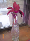 Coleus clippings growing roots