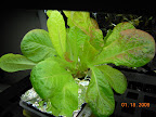 Day 1 bio-meter reading... adjusted to temperature change.