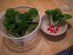 Toy choi and radishes