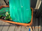 Not leaking, but the tubes edges are giving out - turning into bulging waterbags at the bottom (melon teepee).