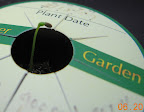 Hey, hey! Took 2.5 weeks, but a cape gooseberry germinated!