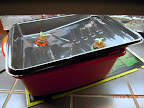 One day after being set up. Added seedling heat mat - cukes like heat. Seedlings look happy enough - 4 days from seed.