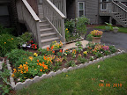 All flowers blooming now (well, not all daylilies, but the first ones).