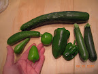 3 types of cuke - first Japanese cuke! - plus 1 each green from 4 pepper plants, and 2 baby unpollinated zukes