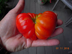 I like the shape variety in the tomandes