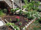 Pansies hard to buy this fall... 3 orange pansies and one plum mum, camouflaging cabbage / radish / lettuce / spinach mini patch.